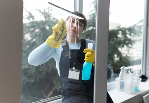 Nettoyage de vitres intérieures et extérieures à Camarade